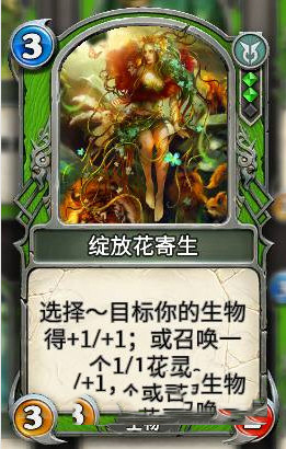 秘境对决,新手,卡组