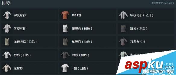 绝地求生大逃杀,服装,绝地求生,装饰品