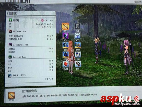 刀剑神域虚空幻界,传说武器,属性,图鉴
