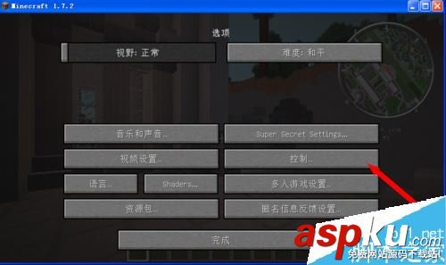 我的世界,截图