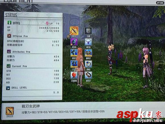 刀剑神域虚空幻界,传说武器,属性,图鉴