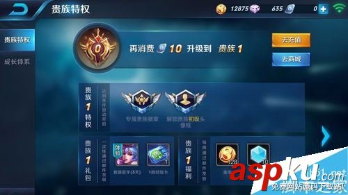 王者荣耀,贵族