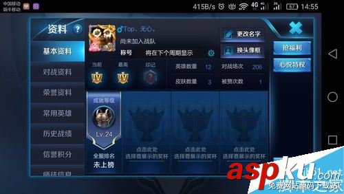 王者荣耀,称号