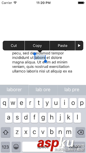 iOS,剪切,UIPasteboard,粘贴