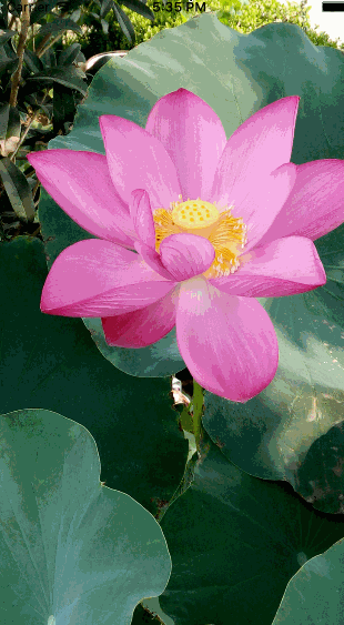 ios碎片化动画,ios,碎片动画效果,碎片效果