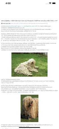iOS中WKWebView的一些特殊使用总结 iOS,WKWebView,特殊使用