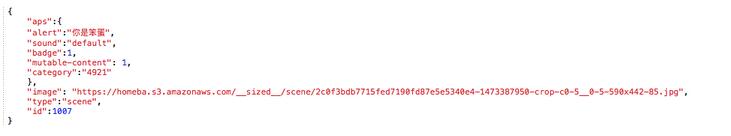 iOS推送通知,iOS推送原理,iOS远程推送,iOS10推送教程