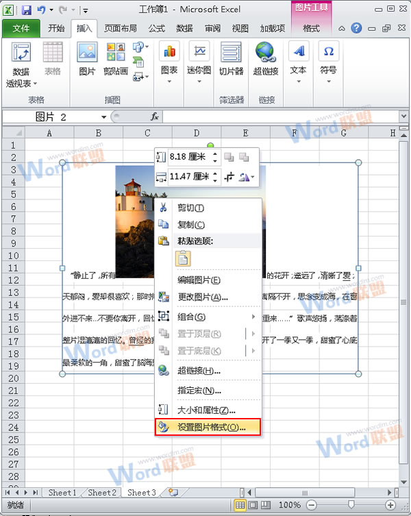 怎么把Word的内容以图片格式插入到Excel2010中？