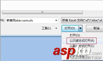 怎么以只读方式打开excel文档？