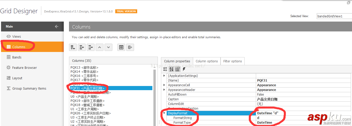 DevExpress,gridcontrol日期行