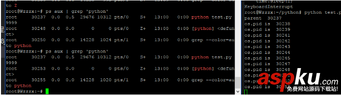 python,子进程,进程