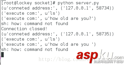 Python,网络编程,套接字编程