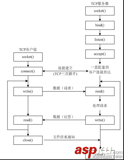 python,TCP,UDP