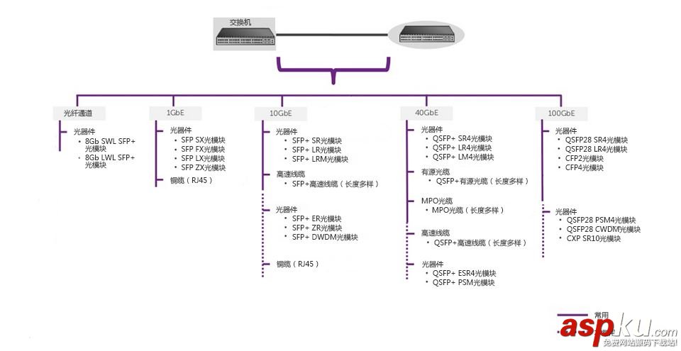 存储区域网络,光模块,光纤跳线