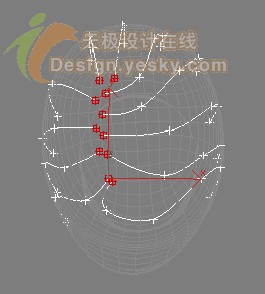 3DsMAX7.5毛发新功能实例：曲线定制发型