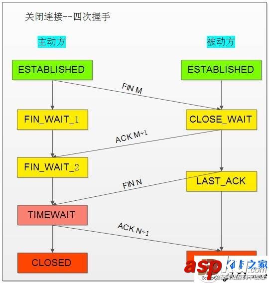 TCP协议