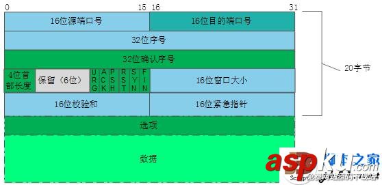 TCP协议