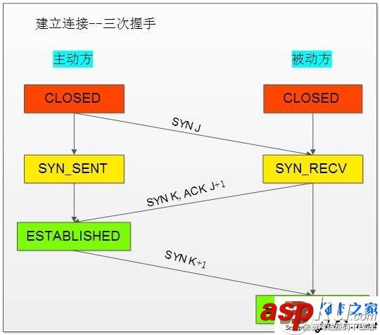 TCP协议