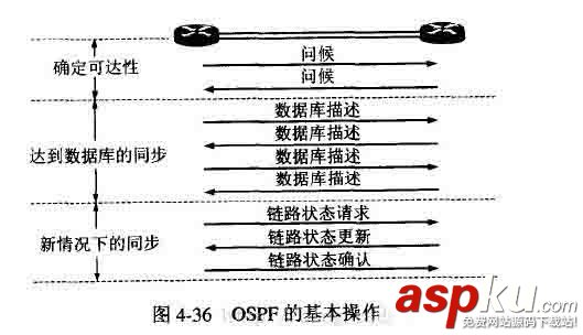 网络协议,网关协议,OSPF