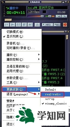 皮肤位置和安装步骤 皮肤位置和安装步骤