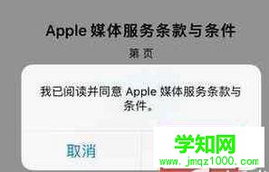 win10系统下苹果商店变成英文怎么办