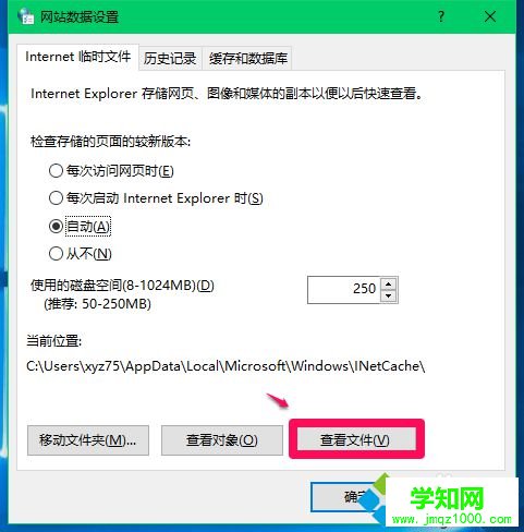 IE临时文件夹存放位置查找步骤3