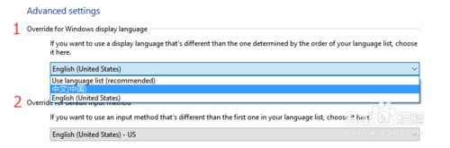 Windows10系统中文版变成英文版的解决步骤4