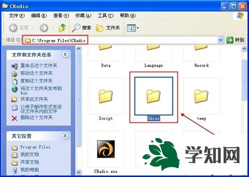 皮肤位置和安装步骤 皮肤位置和安装步骤