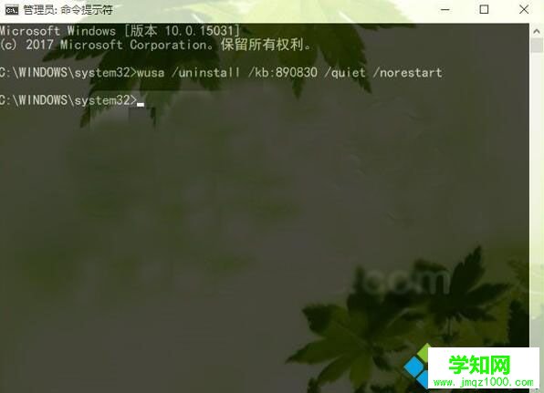 Win10系统移除自带恶意软件删除工具的步骤6