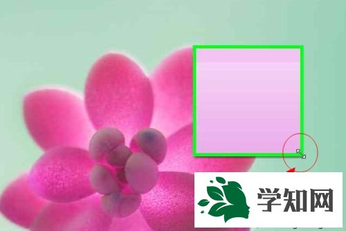 随意变化大小