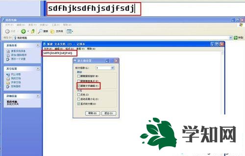 XP系统放大镜功能的使用步骤5 XP系统放大镜功能的使用步骤5