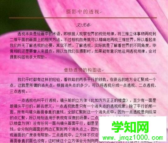 windows10系统添加word背景图片的方法 windows10系统添加word背景图片的方法