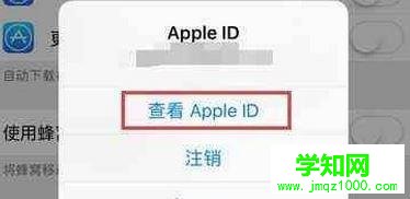 win10系统下苹果商店变成英文怎么办