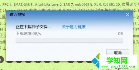 torrentkitty怎么打开？电脑打开torrentkitty的方法