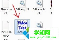 找到D2VidTst.exe这个文件