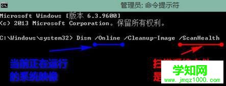扫描文件