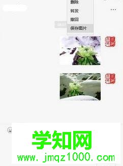 win10将webp转换为jpg格式图片的两种方法