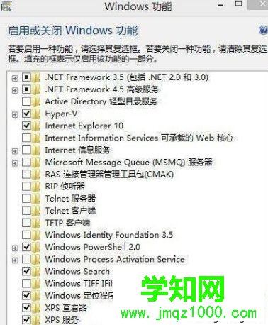 找到“.NET Framework 4.5 高级服务”