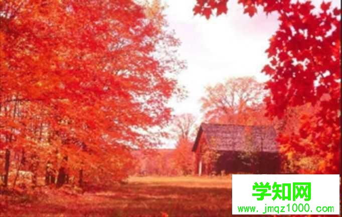 windows10系统下怎样让图片放大后不模糊