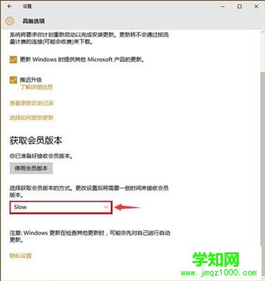 Win10预览版怎么升级 Win10预览版升级更新设置方法
