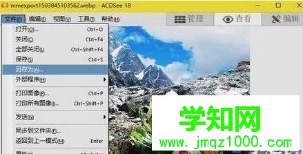 win10将webp转换为jpg格式图片的两种方法