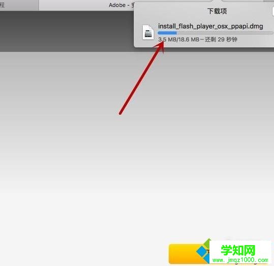 苹果 中怎样完善PPAPI插件
