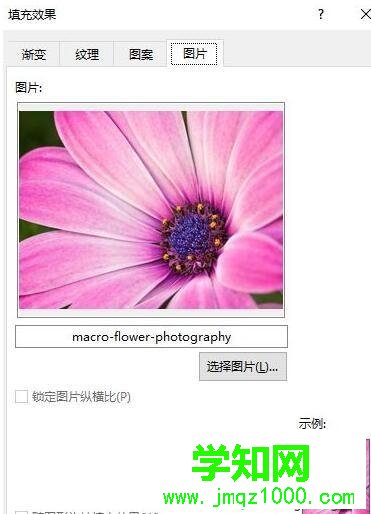 windows10系统添加word背景图片的方法 windows10系统添加word背景图片的方法