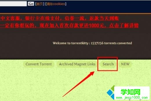torrentkitty怎么打开？电脑打开torrentkitty的方法