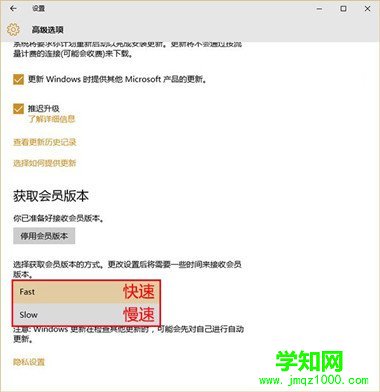 Win10预览版怎么升级 Win10预览版升级更新设置方法