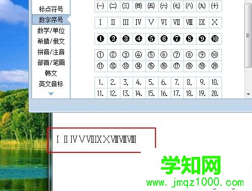 输入罗马数字