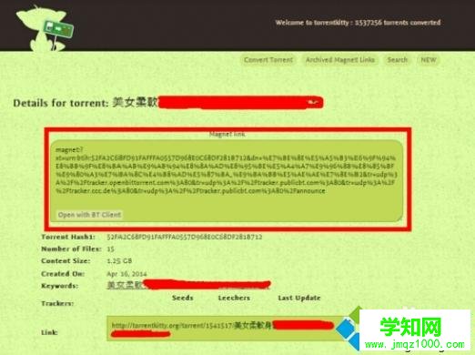 torrentkitty怎么打开？电脑打开torrentkitty的方法