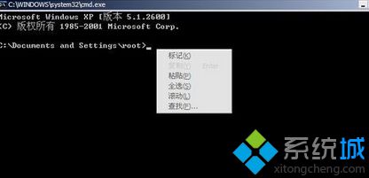 输入命令提示符 输入命令提示符