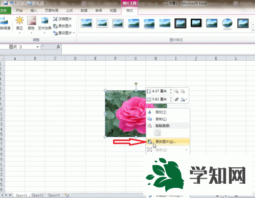 选择更改图片