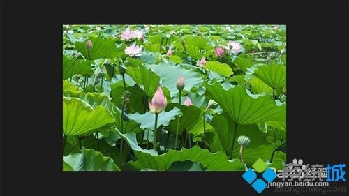 win10系统用ACDSee看图软件快速浏览管理图片文件夹的方法